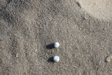 Two white glistening rocks laying in the sand along the beach.