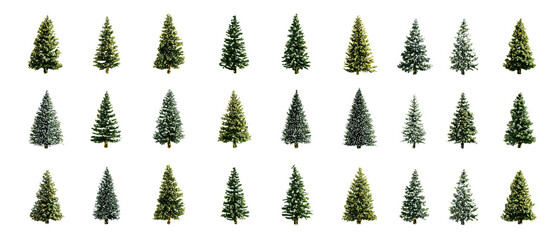 Cute small Christmas trees arranged in a tidy grid, playful and decorative, isolated on transparent background.
