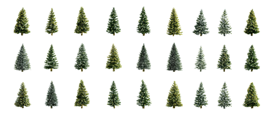 Cute small Christmas trees arranged in a tidy grid, playful and decorative, isolated on transparent background.
