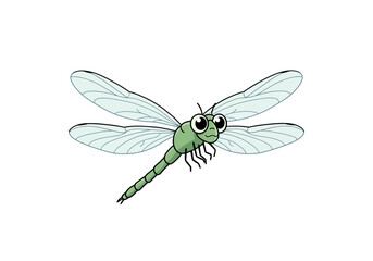 Fototapeta premium Cartoon Dragonfly Illustration with Transparent Wings on White.