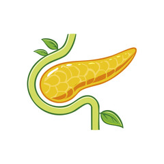 Naklejka premium Pancreas with Plant Stem and Leaves Illustration Depicting Health and Growth