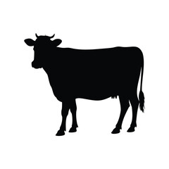 Black silhouette of a cow standing against a bright white background, cow  silhouette vector illustration