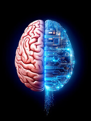 Digital brain half organic, half technological circuit board, representing artificial intelligence and the future of the mind