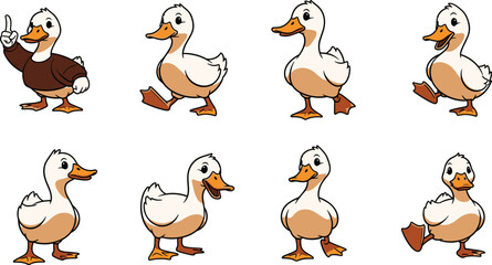 Cartoon ducks pose in various positions. Funny bird character, animation design, comic vector, cute animal, farm fowl, water bird, illustration, humor