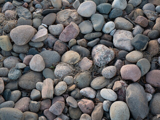 Grey pebbles in suburban garden