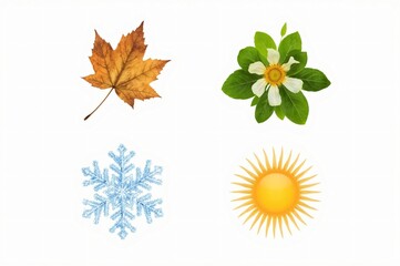 Four seasons icons; leaf, flower, snowflake, sun; white background; website design