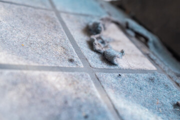 Filtration system dust filter, home appliance component for air purification, with a pile of grey lint and dirt. The image captures the accumulated grime on the filter's surface, a visual reminder of 