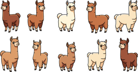 Cartoon alpacas stand, different colors, wool. Farm animals, cute, mammal, llama, funny, illustration, fluffy, animal