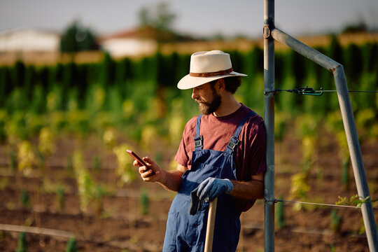 Farm worker texting on cell phone while working in a field.