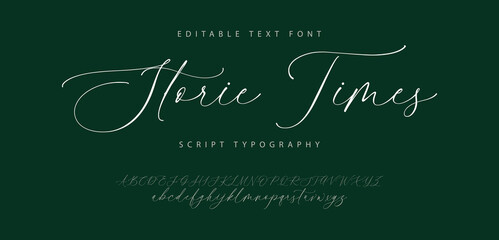 Stroric Times logo signature Font. Calligraphy Logotype Script Brush Font Type Font lettering handwritten. vector illustration 
