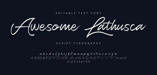 Awesome Lathusca logo signature Font. Calligraphy Logotype Script Brush Font Type Font lettering handwritten. vector illustration 
