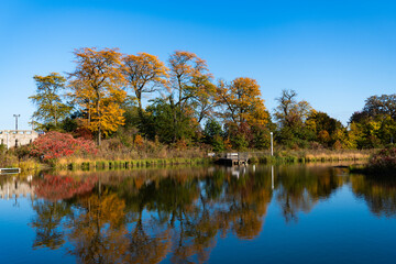 Park pond. Park in autumn with colorful fall trees. Autumn nature. Fall nature landscape. Lake in park with autumn tree and yellow fall seasonal leaves. Autumnal nature landscape