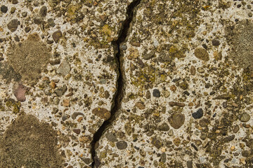Detailed top-down view of an old cracked concrete surface with moss and lichen. Abstract grunge background symbolizing decay, time, and nature's resilience reclaiming urban environment.