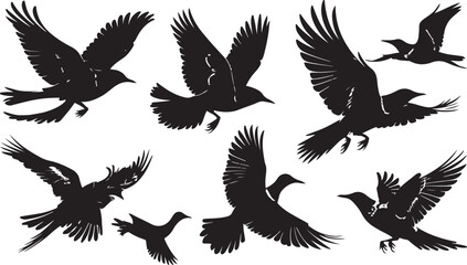 Silhouetted Birds in Flight A Dynamic Composition of Avian Grace and Freedom Against a White Backdrop A Symbol of Hope