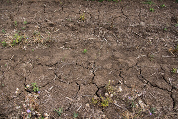 Soil patch texture. Close-up of dry cracked soil