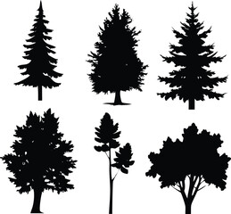 Fototapeta premium Diverse Tree Silhouettes A Collection of Evergreen and Deciduous Forms Presenting a Variety of Natural Shapes and Textures