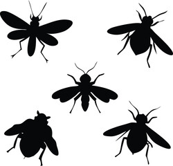 Silhouetted Insect Collection Featuring a Variety of Flying Bugs, with Differently Shaped Bodies, Wings, and Antennae, Against a White Background