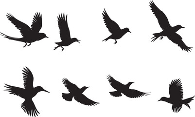 Collection of Bird Silhouettes in Various Flight Poses Creating a Sense of Freedom and Graceful Movement with a Clean Minimalist Aesthetic