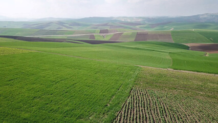 Obraz premium hilly agricultural fields in Morocco Africa