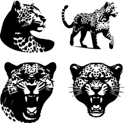 black and white silhouette of tiger