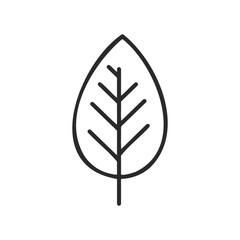 Minimalist line drawing of a leaf with simple geometric design