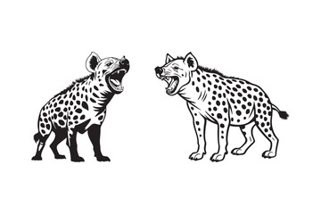 Two hyenas facing each other with open mouths