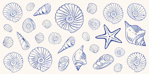 Collection of blue ink drawn seashells and a starfish scattered on a cream background