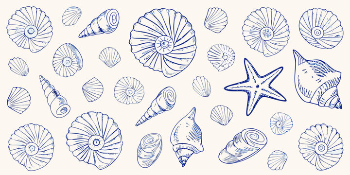 Collection of blue ink drawn seashells and a starfish scattered on a cream background