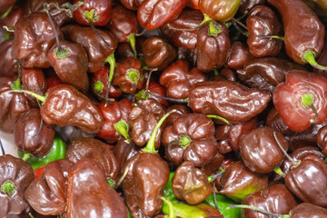 Close-up of fresh brown habanero chili peppers with glossy surface and intense color for gourmet cooking
