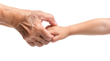 Transparent PNG of a child&rsquo;s hand holding an elderly hand. Symbol of family, support, love, care, and generational connection.