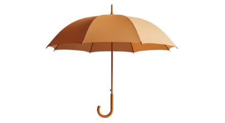 Isolated Brown Umbrella