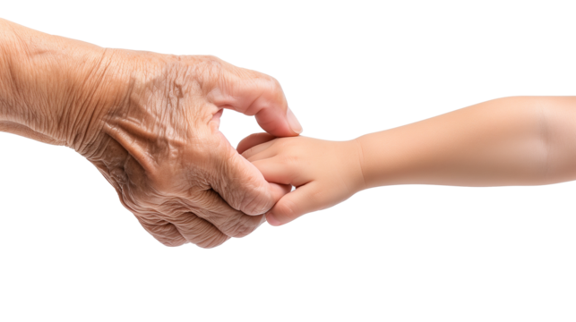 Transparent PNG of a child’s hand holding an elderly hand. Symbol of family, support, love, care, and generational connection.