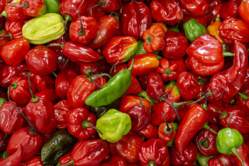 Mixed red and green habanero chili peppers with vibrant colors and diverse shapes for culinary use