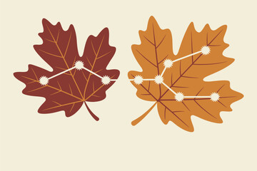 Fototapeta premium Two autumn leaves with constellation patterns on a cream background in a flat vector illustration
