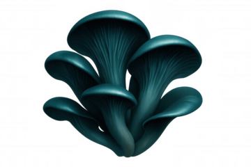 Vibrant blue oyster mushrooms forming a cluster, isolated on a transparent background, perfect for creative projects