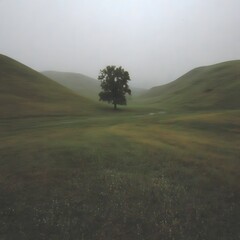 Misty landscape in the morning