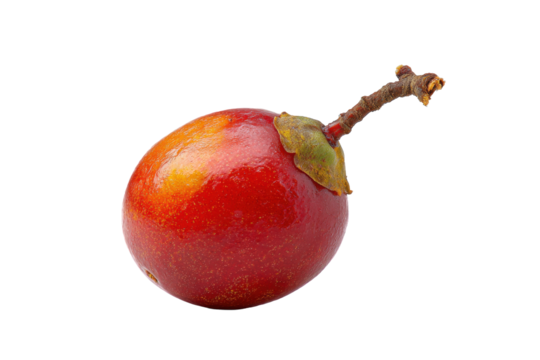 Glossy Red Tropical Fruit on Transparent Background