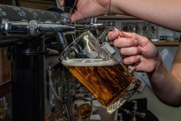Bartender pouring beer into glass mug from tap
