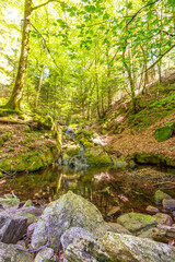 Obraz premium Stream landscape in the Haut Languedoc region of southern France. Small waterfalls and water running through the forests of Hérault. 