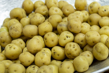 Fresh yellow potatoes in bulk, rustic Andean variety ideal for traditional cooking and gourmet recipes