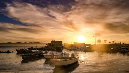 boats