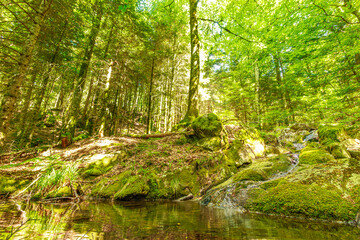 Stream landscape in the Haut Languedoc region of southern France. Small waterfalls and water running through the forests of Hérault.
