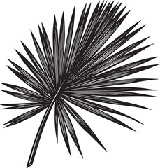 Obraz premium Elegant Palm Frond Woodcut Illustration: Black and White Tropica