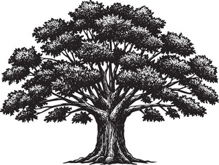 Majestic oak tree, crafted with woodcut precision, presents a ti