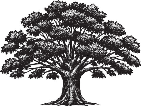 Majestic oak tree, crafted with woodcut precision, presents a ti