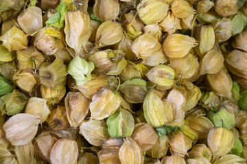 Close-up of fresh golden berries (physalis) with their dry husks at a market stall