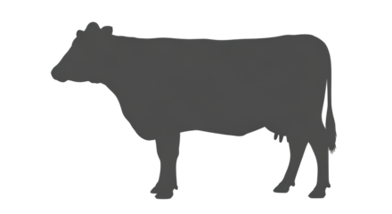 Isolated cow silhouette