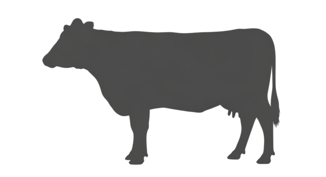 Isolated cow silhouette