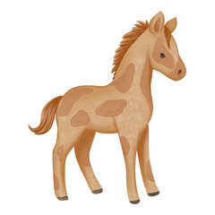 Cute foal illustrated in soft watercolor style with gentle details. Perfect for children’s books, nursery decor, prints, and educational materials.