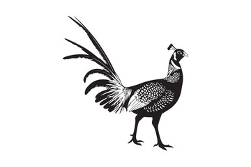 Elegant pheasant illustration in black and white